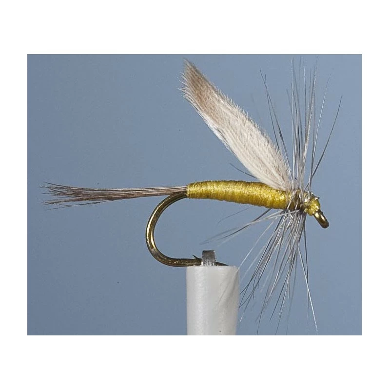 MAYFLY JMC EPHEMERE ORNAN 1