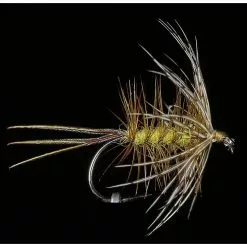 MAYFLY JMC EPHEMERE P2 PANAMA