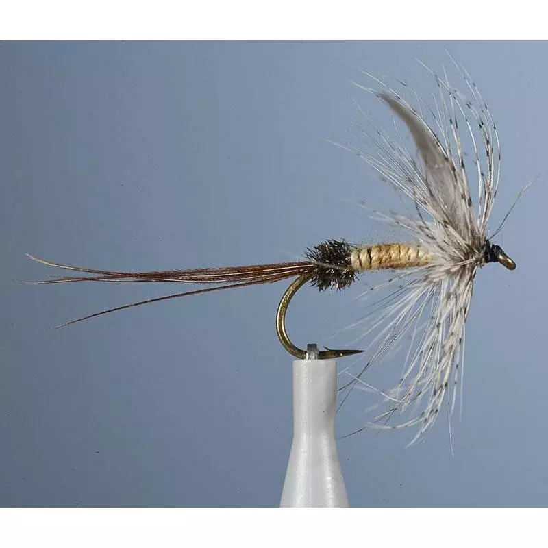 MAYFLY JMC EPHEMERE P3