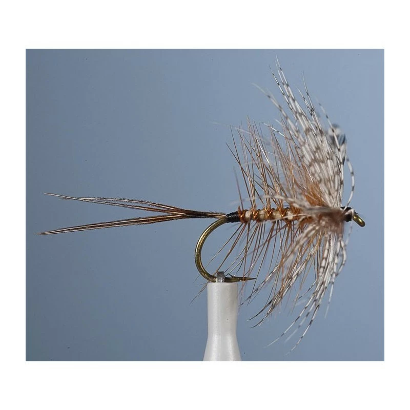 MAYFLY JMC EPHEMERE UB PANAMA