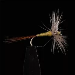 MOUCHE JMC EPHEMERES JMC 600 - PAR 3