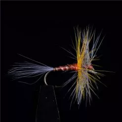 MOUCHE JMC EPHEMERES JMC 601 - PAR 3