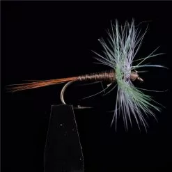 MOUCHE JMC EPHEMERES JMC 602 - PAR 3