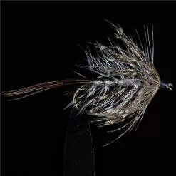 MOUCHE JMC EPHEMERES MAI 1 - PAR 3