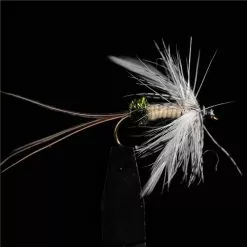 MOUCHE JMC EPHEMERES P 13 - PAR 3