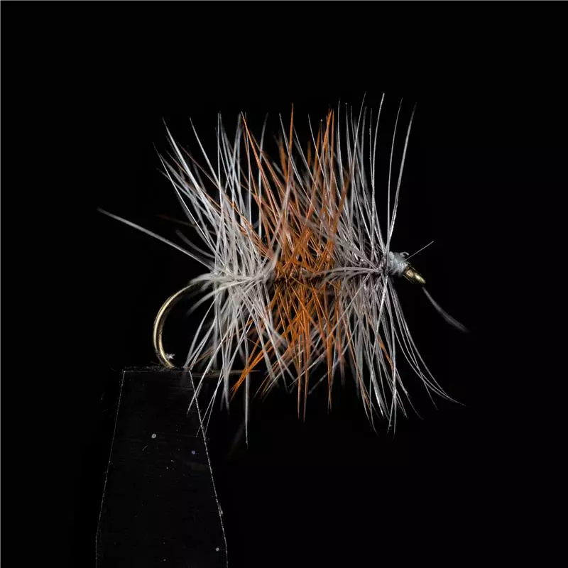 MOUCHE JMC PALMERS TRICOLORE CLAIRE - PAR 3