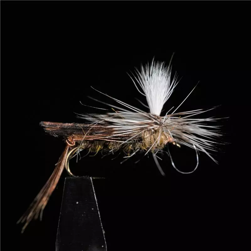 MOUCHE JMC TERRESTRES T315OL - PAR 3