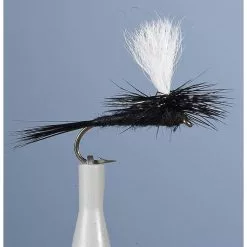 TRANSITORY FLY JMC DC8 BL